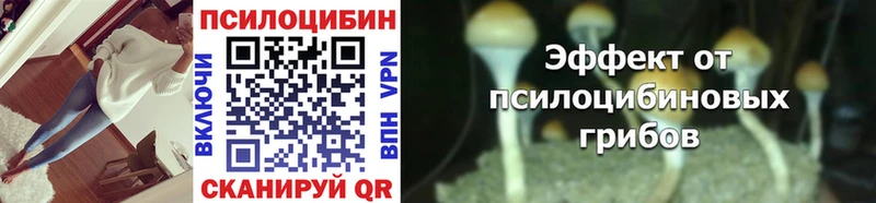 Псилоцибиновые грибы Cubensis  Чехов 